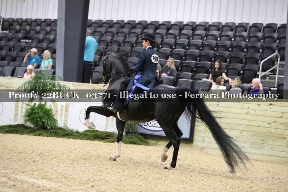 Proof 22BUCK_03771
