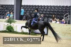 22BUCK_03771 proof