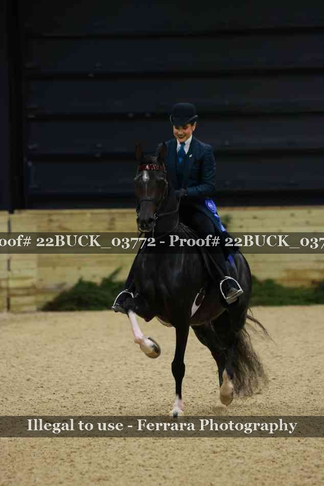 Proof 22BUCK_03772