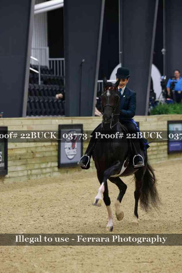 Proof 22BUCK_03773