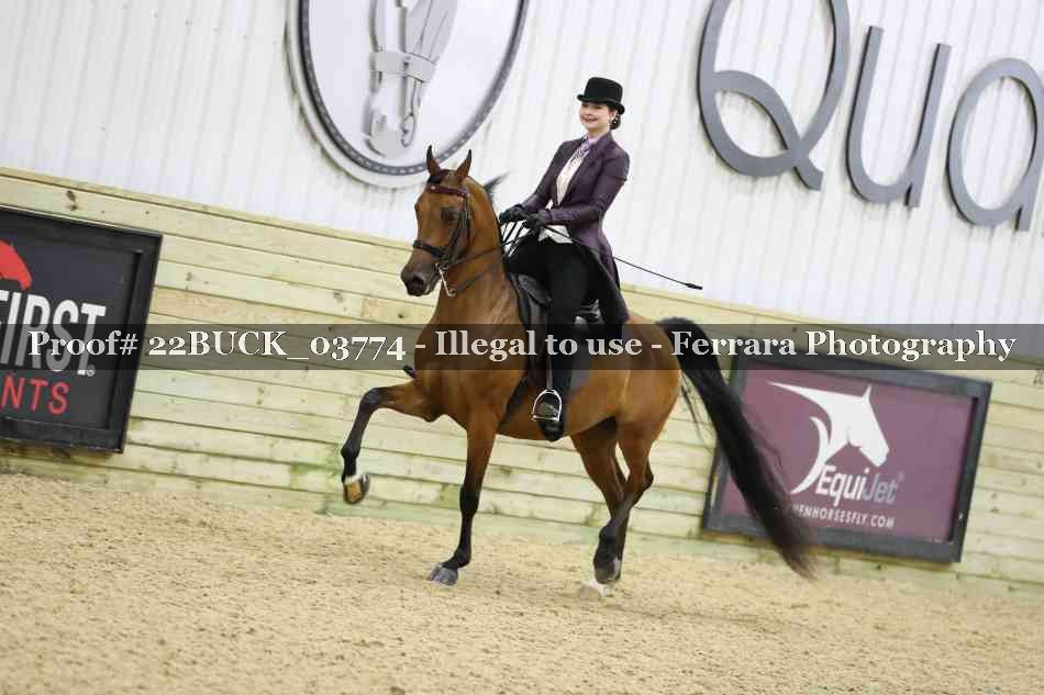 Proof 22BUCK_03774