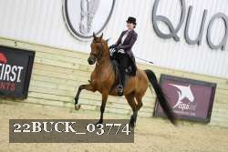 22BUCK_03774 proof