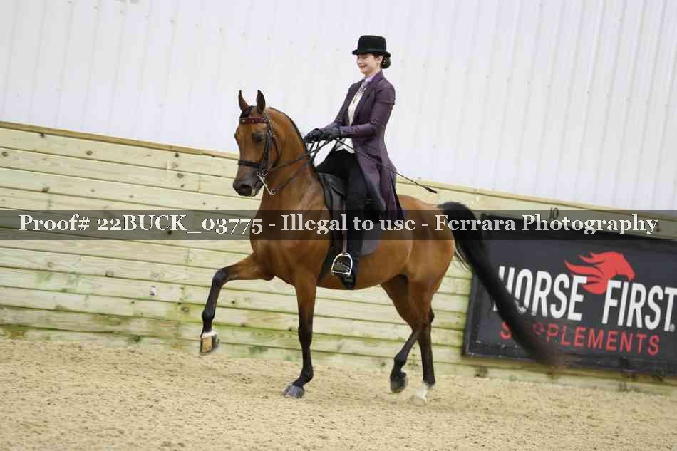 Proof 22BUCK_03775