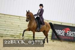 22BUCK_03775 proof