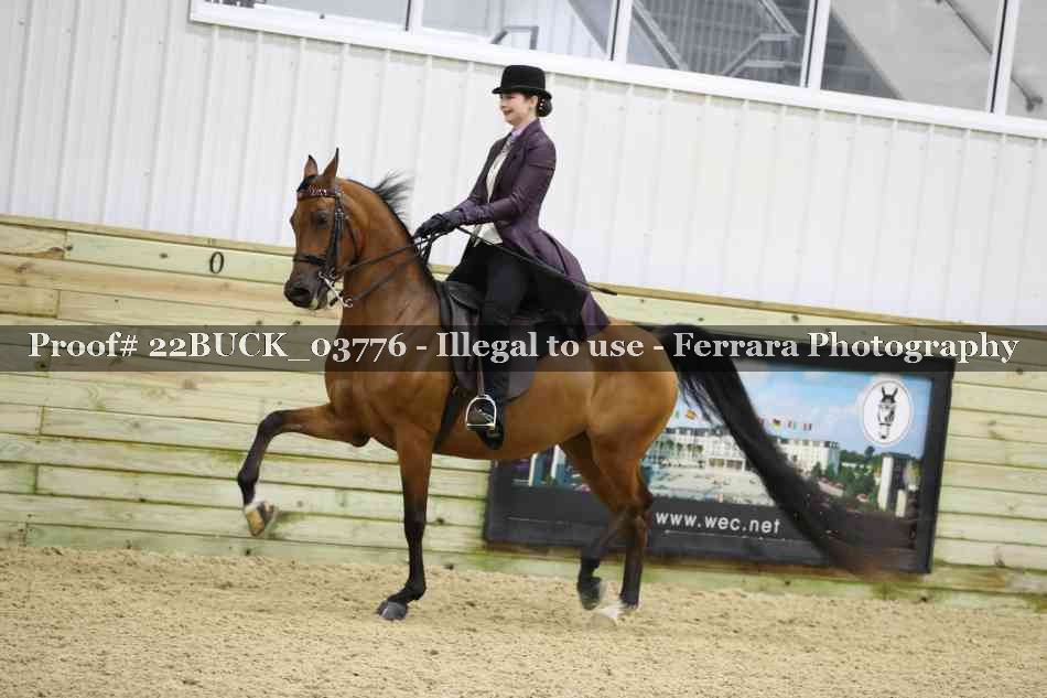 Proof 22BUCK_03776