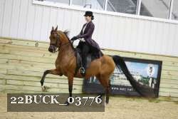 22BUCK_03776 proof