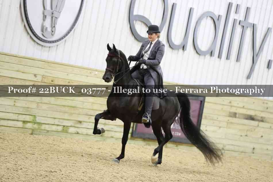 Proof 22BUCK_03777
