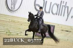 22BUCK_03777 proof