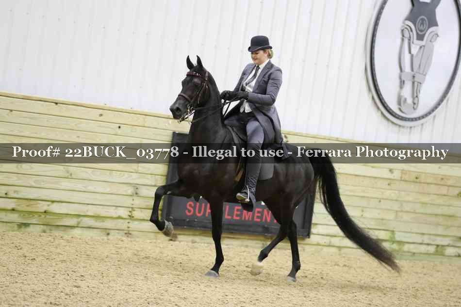 Proof 22BUCK_03778