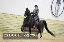 22BUCK_03778 proof