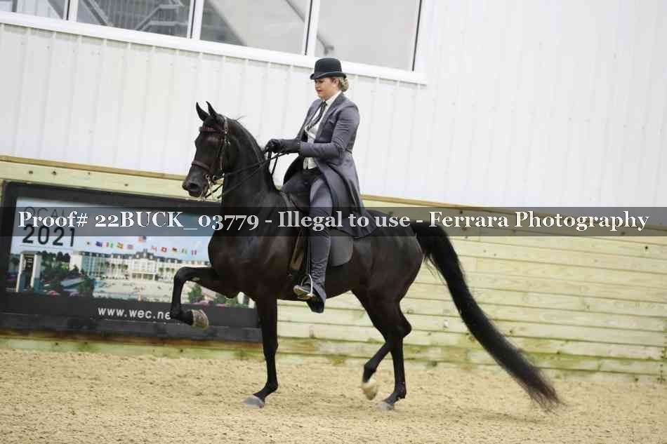 Proof 22BUCK_03779