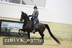22BUCK_03779 proof