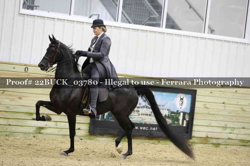 Proof 22BUCK_03780