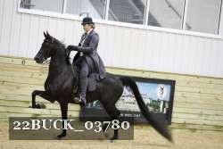 22BUCK_03780 proof