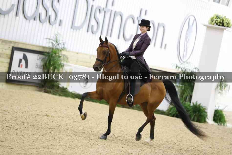 Proof 22BUCK_03781