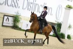 22BUCK_03781 proof