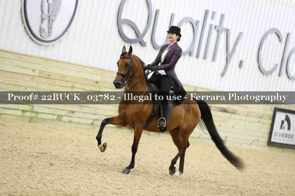 Proof 22BUCK_03782