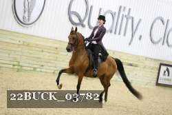 22BUCK_03782 proof