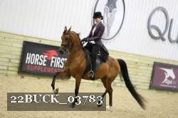 22BUCK_03783 proof