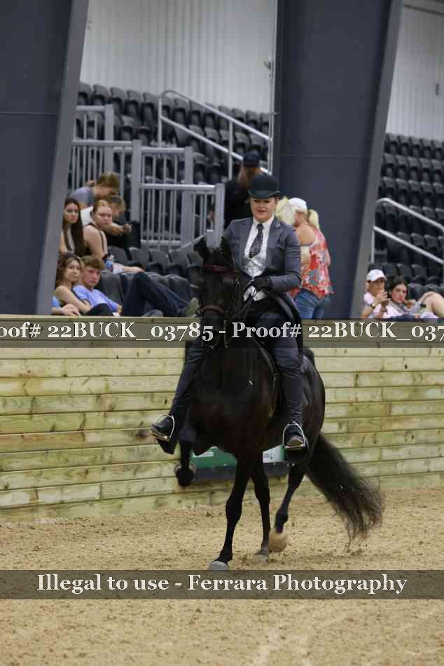 Proof 22BUCK_03785