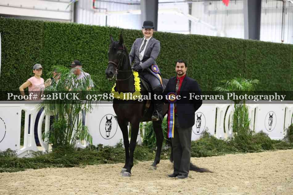 Proof 22BUCK_03788