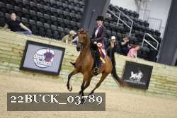 22BUCK_03789 proof