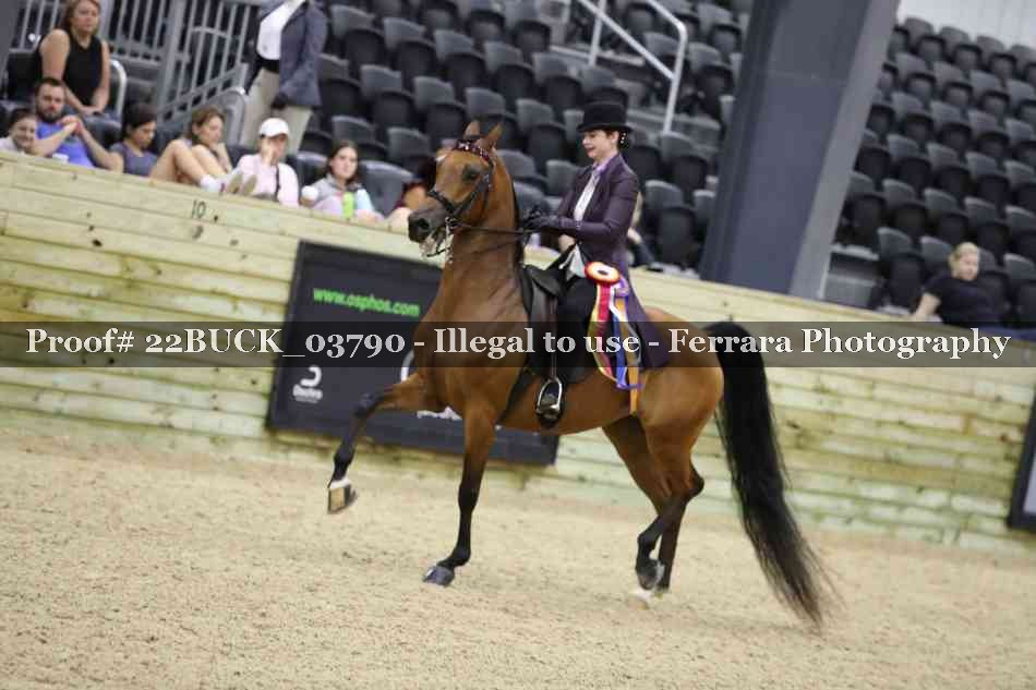 Proof 22BUCK_03790