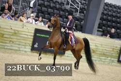 22BUCK_03790 proof