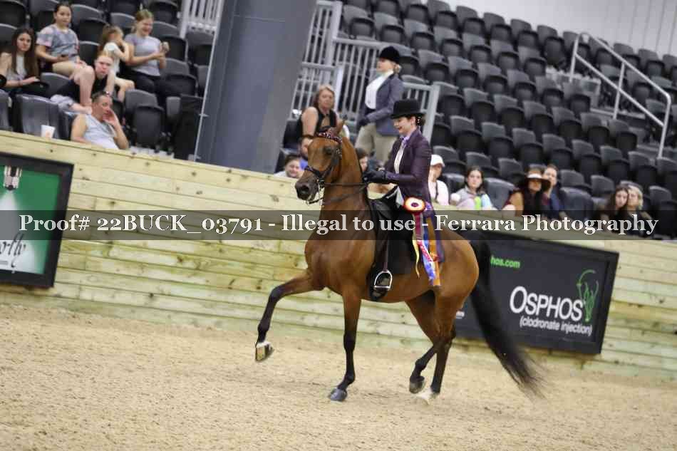 Proof 22BUCK_03791