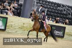 22BUCK_03791 proof
