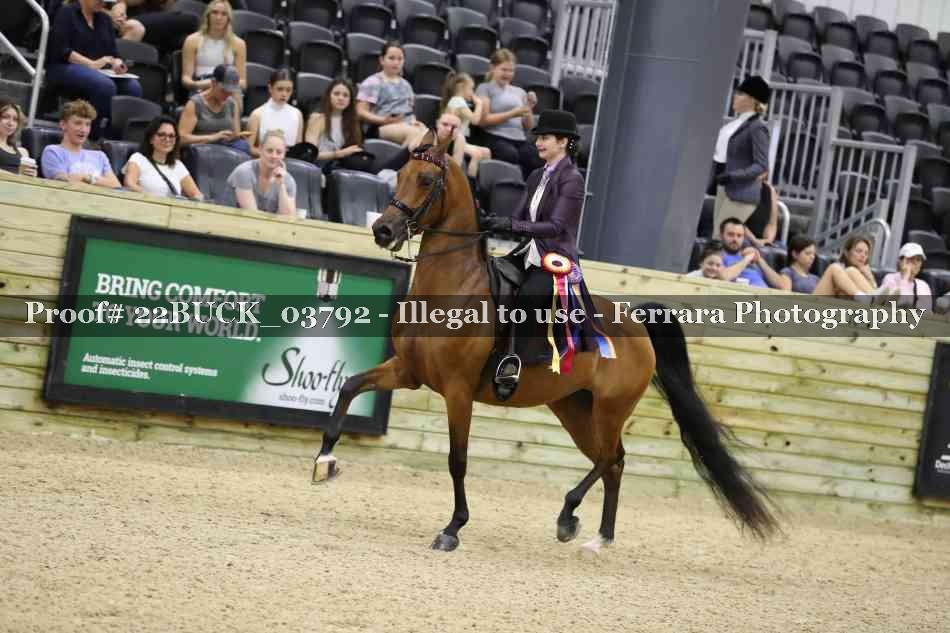 Proof 22BUCK_03792