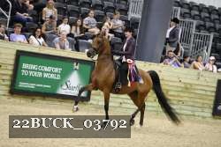 22BUCK_03792 proof