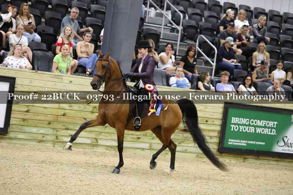 Proof 22BUCK_03793