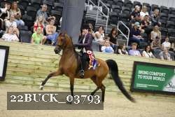 22BUCK_03793 proof