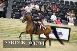 22BUCK_03794 proof