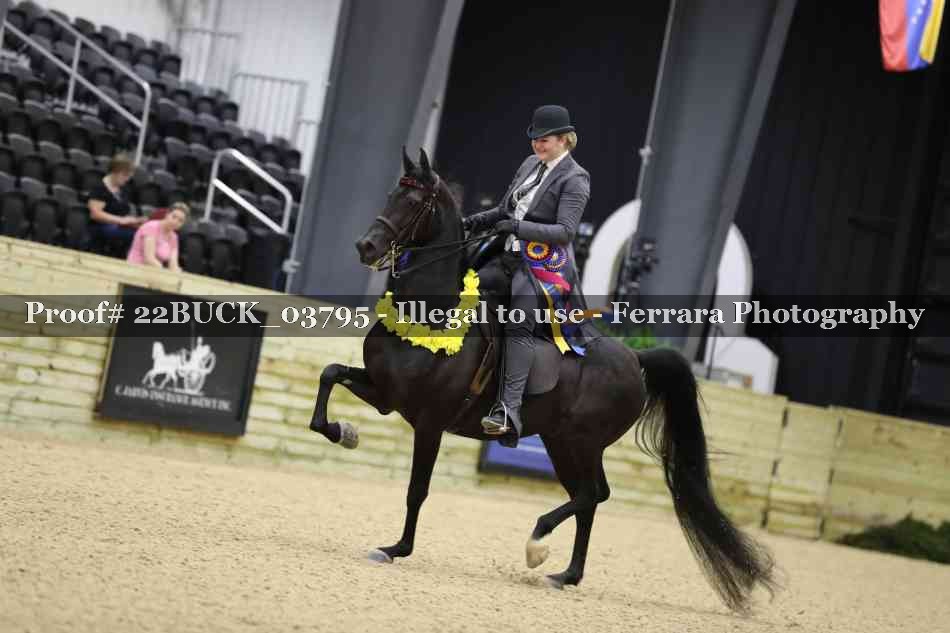 Proof 22BUCK_03795