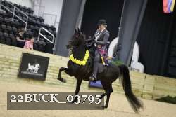 22BUCK_03795 proof