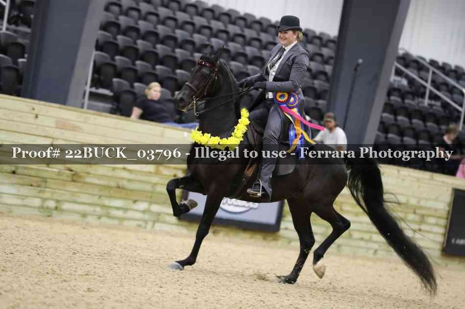 Proof 22BUCK_03796