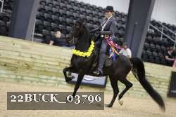 22BUCK_03796 proof