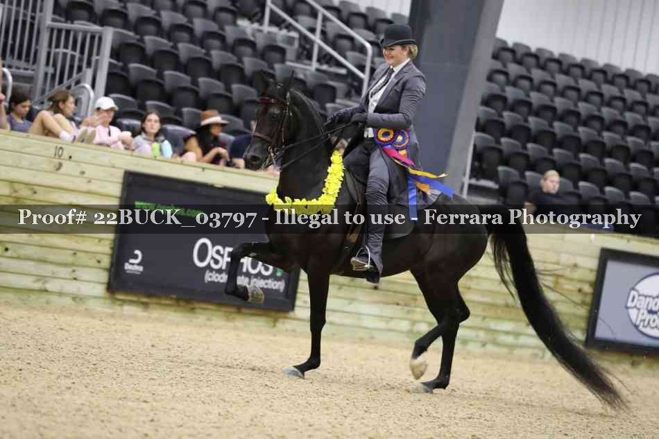 Proof 22BUCK_03797