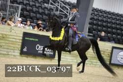 22BUCK_03797 proof