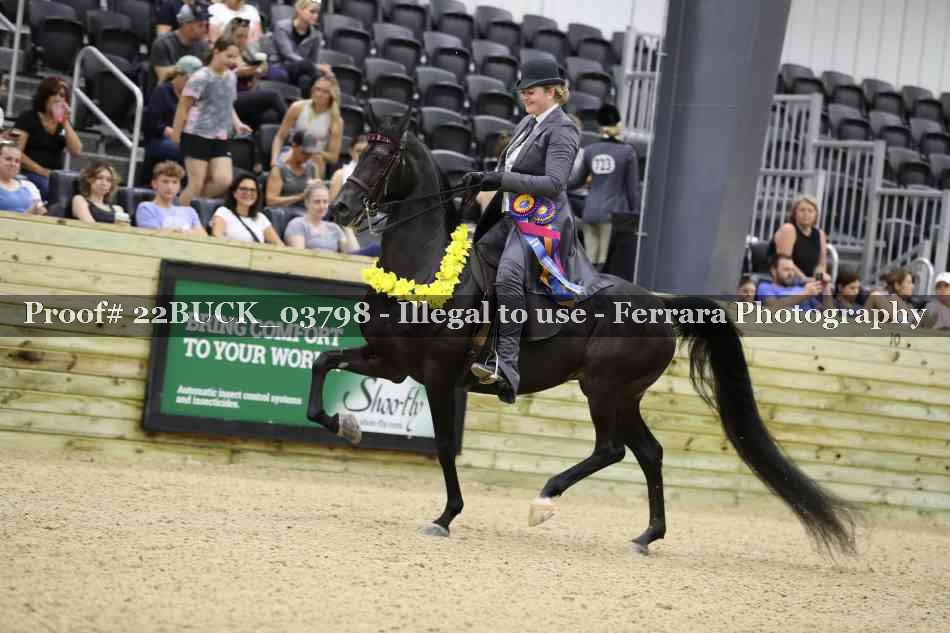 Proof 22BUCK_03798