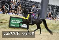 22BUCK_03798 proof