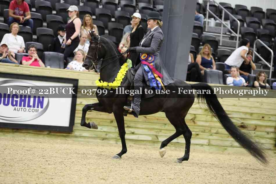 Proof 22BUCK_03799