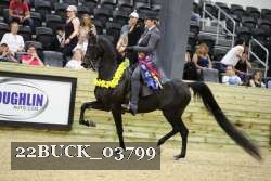 22BUCK_03799 proof