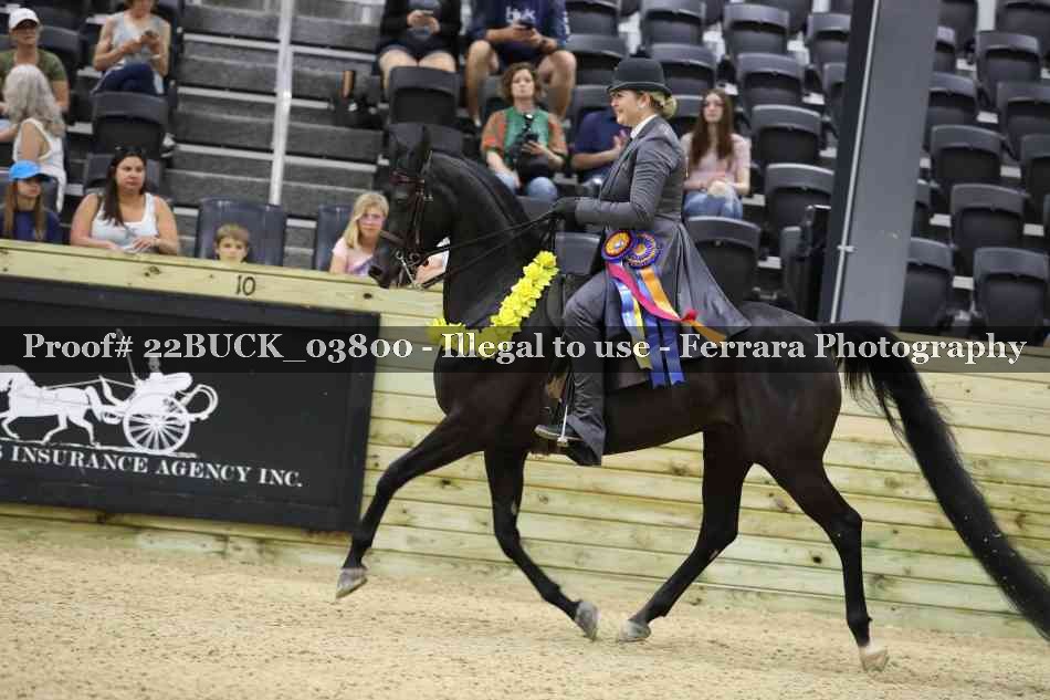 Proof 22BUCK_03800