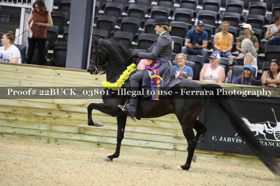 Proof 22BUCK_03801