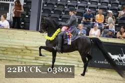 22BUCK_03801 proof