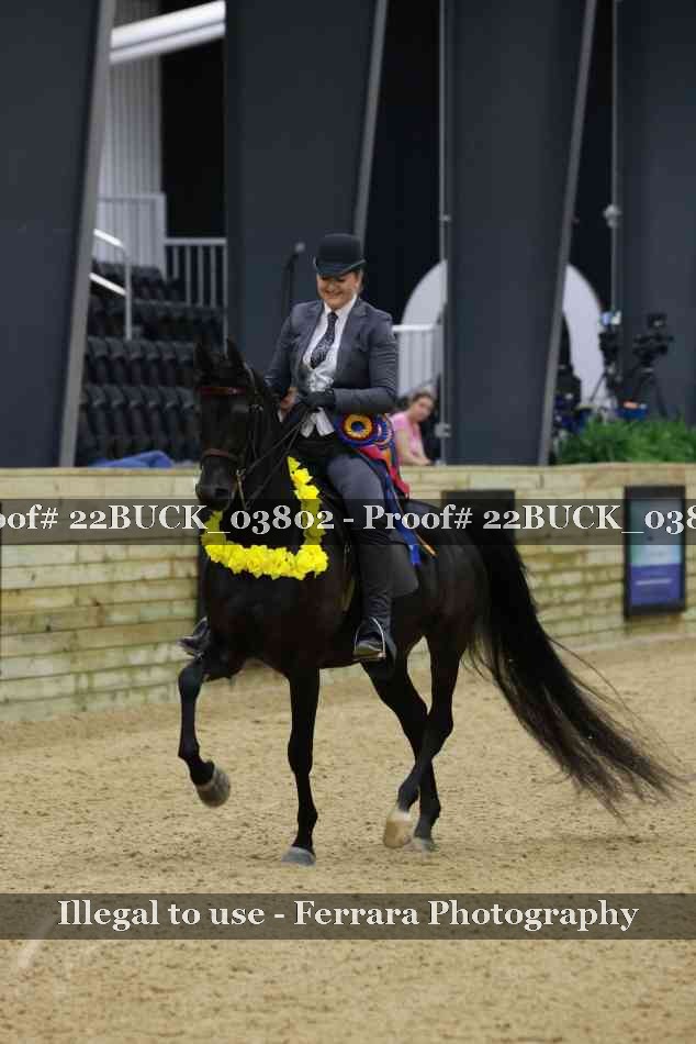 Proof 22BUCK_03802