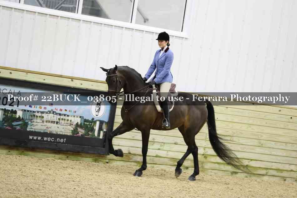 Proof 22BUCK_03805